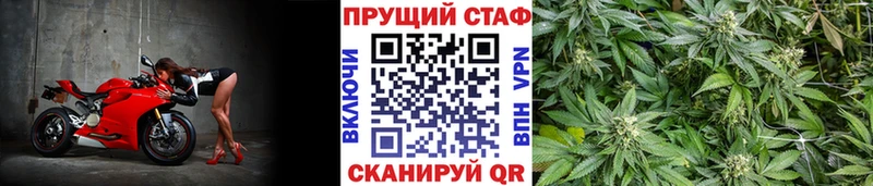 Сколько стоит Пучеж СОЛЬ  Гашиш  Амфетамин  Конопля 