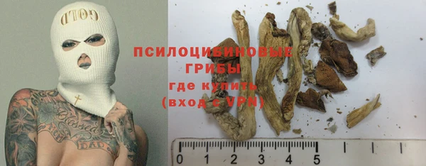 дживик Алзамай