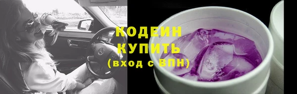 дмт Ельня