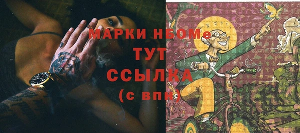 крисы Горняк