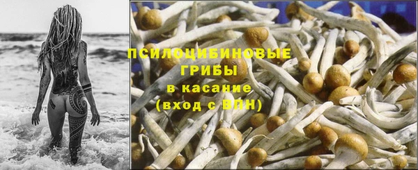 соль курить ск Елизово